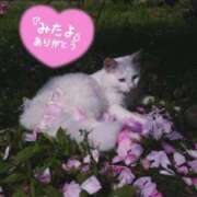 ヒメ日記 2025/05/25 03:29 投稿 水沢　琴音 イラマチーオ新宿店