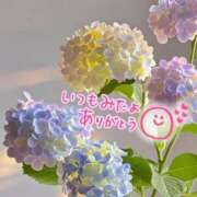 ヒメ日記 2025/05/27 00:19 投稿 水沢　琴音 イラマチーオ新宿店