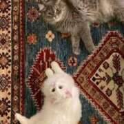 ヒメ日記 2025/06/02 19:39 投稿 水沢　琴音 イラマチーオ新宿店