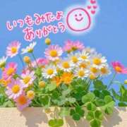 ヒメ日記 2025/06/09 08:19 投稿 水沢　琴音 イラマチーオ新宿店