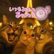 ヒメ日記 2025/06/13 08:19 投稿 水沢　琴音 イラマチーオ新宿店