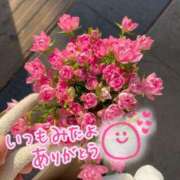 ヒメ日記 2025/06/22 08:09 投稿 水沢　琴音 イラマチーオ新宿店