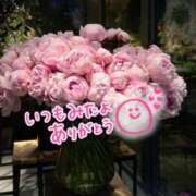 ヒメ日記 2025/06/24 19:09 投稿 水沢　琴音 イラマチーオ新宿店