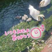 ヒメ日記 2025/06/27 21:39 投稿 水沢　琴音 イラマチーオ新宿店