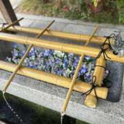 ヒメ日記 2025/07/14 01:09 投稿 水沢　琴音 イラマチーオ新宿店