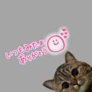 ヒメ日記 2025/07/15 20:09 投稿 水沢　琴音 イラマチーオ新宿店