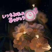 ヒメ日記 2025/07/19 20:09 投稿 水沢　琴音 イラマチーオ新宿店