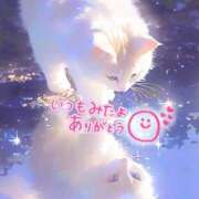 ヒメ日記 2025/07/21 20:19 投稿 水沢　琴音 イラマチーオ新宿店