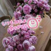 ヒメ日記 2025/07/23 19:17 投稿 水沢　琴音 イラマチーオ新宿店