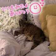 ヒメ日記 2025/07/26 20:09 投稿 水沢　琴音 イラマチーオ新宿店