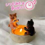 ヒメ日記 2025/08/01 17:59 投稿 水沢　琴音 イラマチーオ新宿店