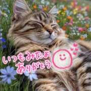 ヒメ日記 2025/08/19 18:19 投稿 水沢　琴音 イラマチーオ新宿店