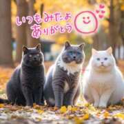 ヒメ日記 2025/09/02 20:49 投稿 水沢　琴音 イラマチーオ新宿店