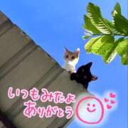 ヒメ日記 2025/09/07 20:39 投稿 水沢　琴音 イラマチーオ新宿店