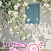 ヒメ日記 2025/09/12 03:29 投稿 水沢　琴音 イラマチーオ新宿店