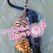 ヒメ日記 2025/09/20 19:59 投稿 水沢　琴音 イラマチーオ新宿店