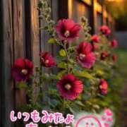 ヒメ日記 2025/09/27 20:29 投稿 水沢　琴音 イラマチーオ新宿店