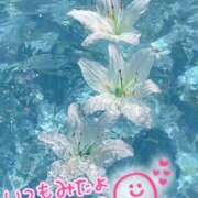 ヒメ日記 2025/10/08 23:19 投稿 水沢　琴音 イラマチーオ新宿店