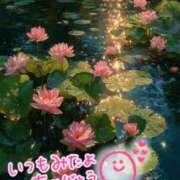 ヒメ日記 2025/10/11 00:49 投稿 水沢　琴音 イラマチーオ新宿店