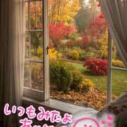 ヒメ日記 2025/10/12 00:19 投稿 水沢　琴音 イラマチーオ新宿店