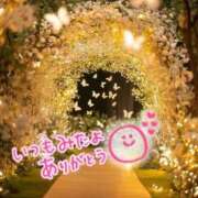 ヒメ日記 2025/10/18 06:09 投稿 水沢　琴音 イラマチーオ新宿店