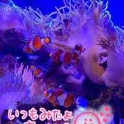 ヒメ日記 2025/10/27 22:59 投稿 水沢　琴音 イラマチーオ新宿店