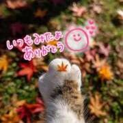 ヒメ日記 2025/11/01 21:19 投稿 水沢　琴音 イラマチーオ新宿店