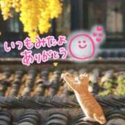 ヒメ日記 2025/11/09 02:19 投稿 水沢　琴音 イラマチーオ新宿店