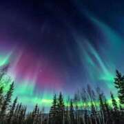 ヒメ日記 2025/11/13 02:49 投稿 水沢　琴音 イラマチーオ新宿店