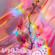 ヒメ日記 2025/11/14 23:59 投稿 水沢　琴音 イラマチーオ新宿店