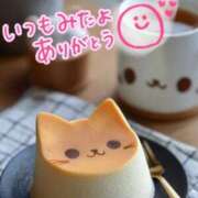 ヒメ日記 2025/11/27 23:20 投稿 水沢　琴音 イラマチーオ新宿店