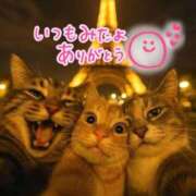 ヒメ日記 2025/11/29 00:09 投稿 水沢　琴音 イラマチーオ新宿店