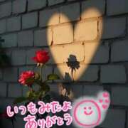 ヒメ日記 2025/12/29 21:59 投稿 水沢　琴音 イラマチーオ新宿店