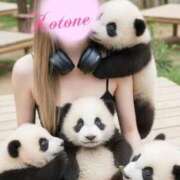 ヒメ日記 2026/02/05 23:09 投稿 水沢　琴音 イラマチーオ新宿店