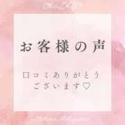 ヒメ日記 2025/08/19 13:49 投稿 西山ちひろ OtoLABO～前立腺マッサージ（ドライオーガズム）専門店～