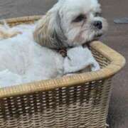 ヒメ日記 2025/08/17 14:31 投稿 篠崎 結菜 30代40代50代と遊ぶなら博多人妻専科24時