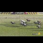 ヒメ日記 2025/11/23 16:58 投稿 篠崎 結菜 30代40代50代と遊ぶなら博多人妻専科24時