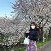 ヒメ日記 2025/04/06 14:01 投稿 夏央-Kao- 姉新地