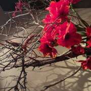 ヒメ日記 2024/12/20 20:00 投稿 槇村 東京美人妻