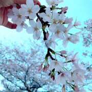 ヒメ日記 2025/04/10 10:23 投稿 槇村 東京美人妻