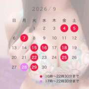 ヒメ日記 2026/08/27 19:07 投稿 岡田ゆずき(おかだゆずき) 神戸妻キャッスル店