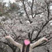 ヒメ日記 2025/04/10 21:50 投稿 ゆあ 舐めフェチの会