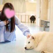 ヒメ日記 2025/06/13 12:53 投稿 ゆあ 舐めフェチの会