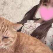 ヒメ日記 2025/07/06 23:47 投稿 ゆあ 舐めフェチの会