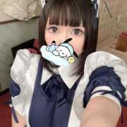 ヒメ日記 2025/04/07 14:01 投稿 のあ アロー