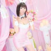 ヒメ日記 2025/04/23 11:02 投稿 のあ アロー