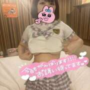 ヒメ日記 2025/04/26 08:30 投稿 のあ アロー