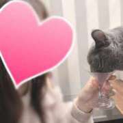 ヒメ日記 2025/04/01 19:33 投稿 弥生 モアグループ大宮人妻花壇