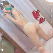 ヒメ日記 2025/10/04 00:48 投稿 杏/あんず プロフィール 京都店