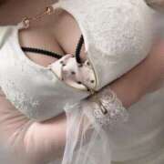 ヒメ日記 2025/05/28 21:35 投稿 はるひ CECIL